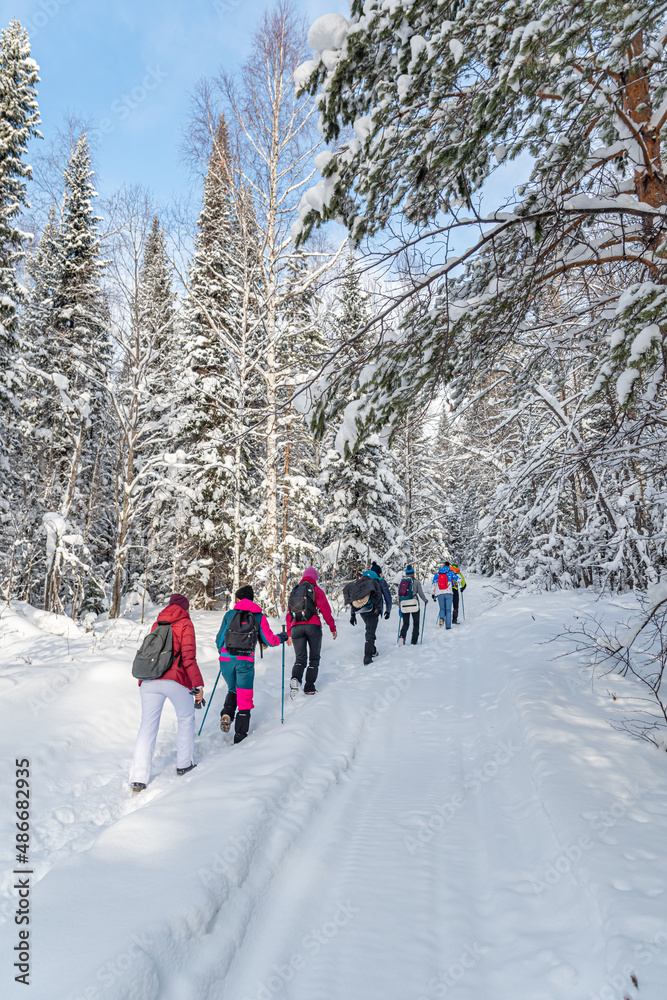 A group of tourists goes on an ascent in winter. Ural mountains. January 2022