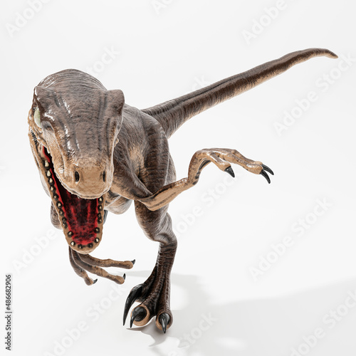 velociraptor isolated on white © aleciccotelli