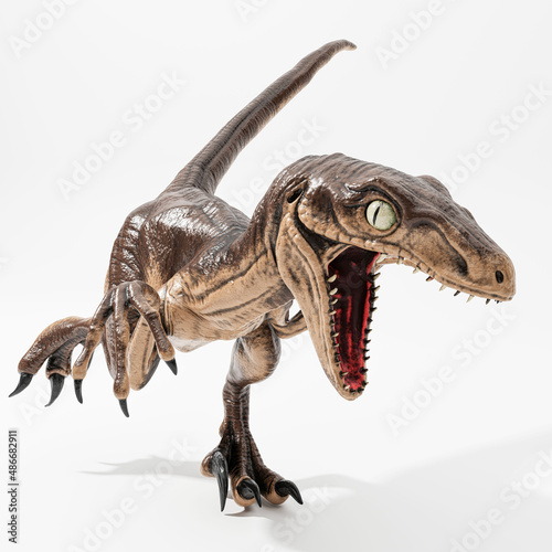 velociraptor isolated on white photo