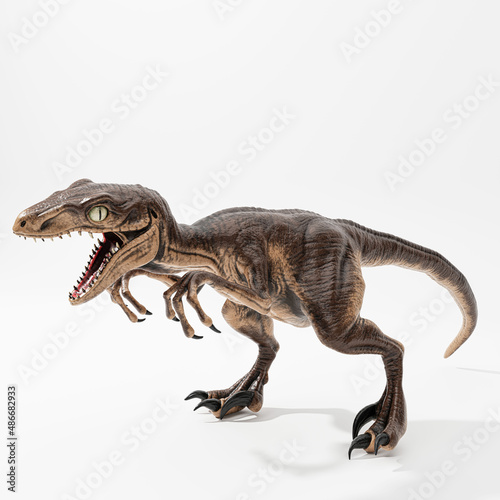 velociraptor isolated on white