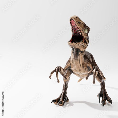 velociraptor isolated on white