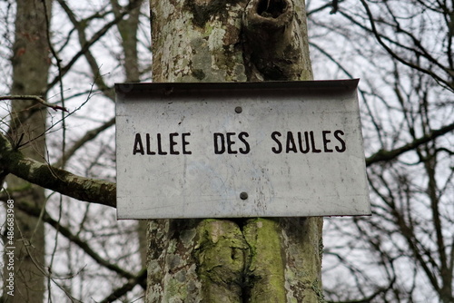 Fotografie Allée des Saules. Pancarte de nom d'allée dans un bois.