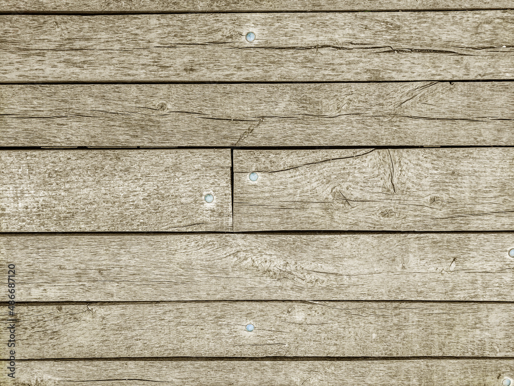 Fototapeta premium Grey wood grunge backgroun close up natural wood 