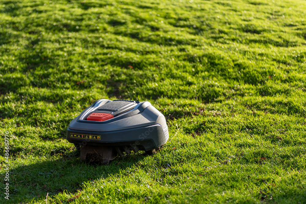Robot do koszenia trawnika, zielony trawnik - obrazy, fototapety, plakaty 