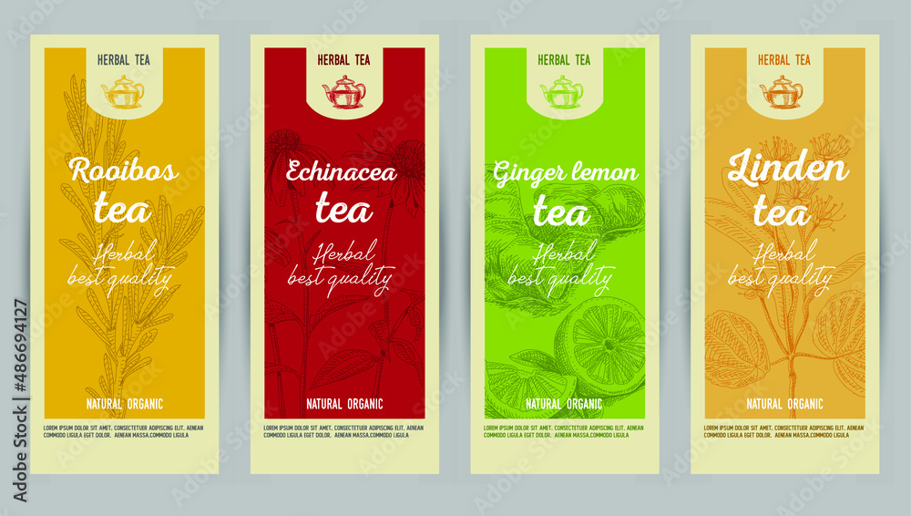Sketchy colorful herbal tea cards set: Roibos tea, Echinacea tea, Ginger lemon tea, Linden Tea