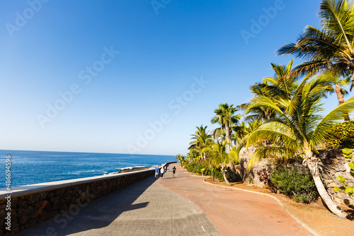 Palm Trees - Perfect palm trees against a beautiful blue sky and the ocean, tenerife © Angelov
