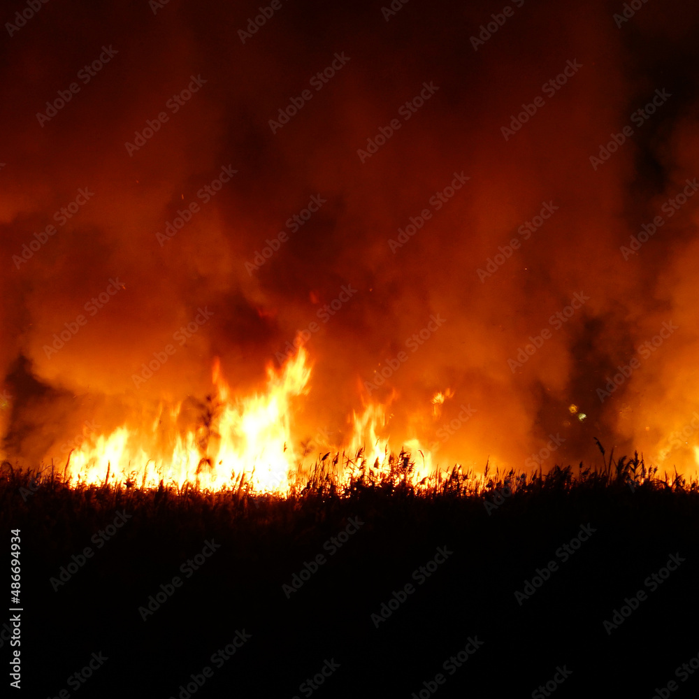 Flames from a dry grass fire at night. Night fire in the field. Selective focus. Soft focus