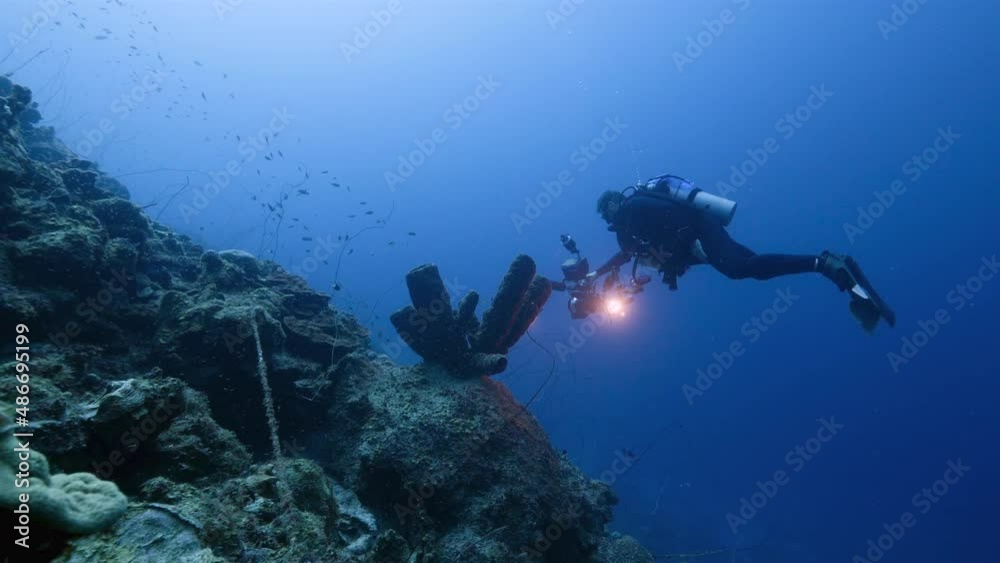 Professional diver, undersea cinematographer filming in coral reef of Caribbean Sea around Curacao