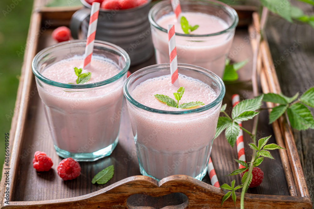 Homemade cocktail with seasonal fruit and milk. Homemade cocktail with seasonal fruit and milk.