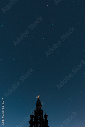 christmas tree and stars