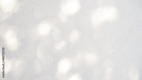 Abstract leaves gray shadow background with light bokeh, Abstract gray shadow background of natural leaves tree branch falling on white wall and wallpaper texture photo