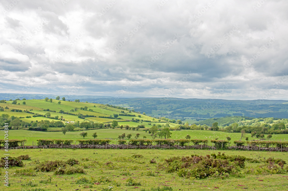 Autumn landscape in the Welsh hills.