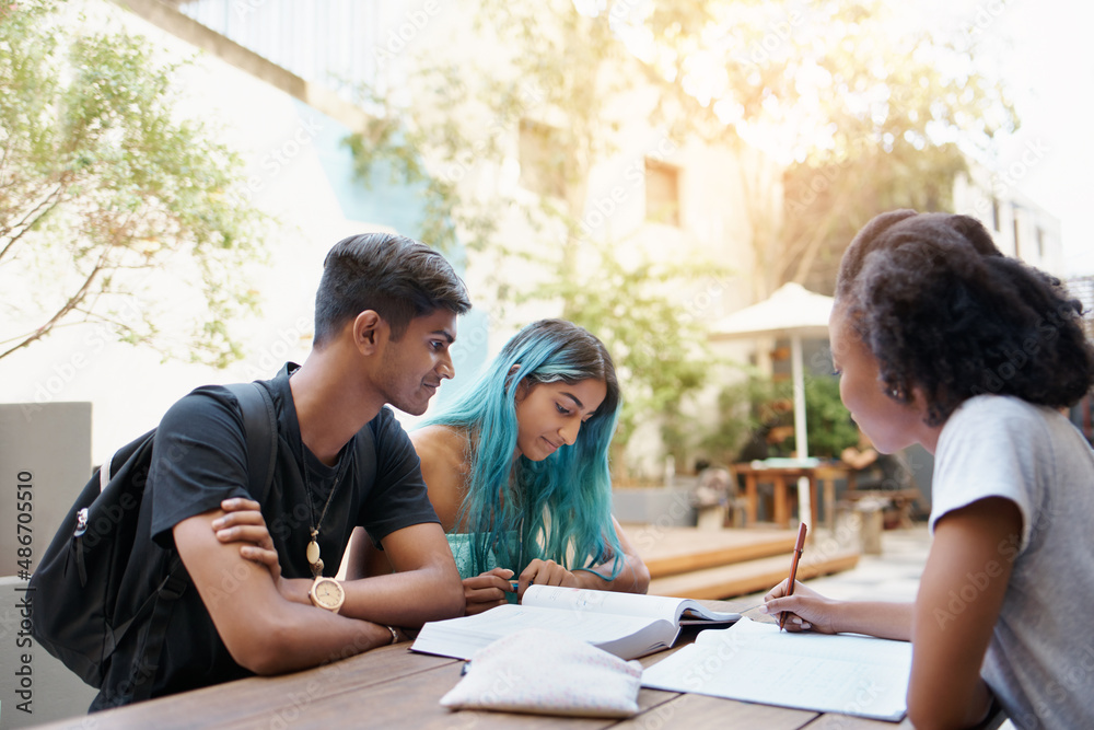 Obraz premium Focused on our studying