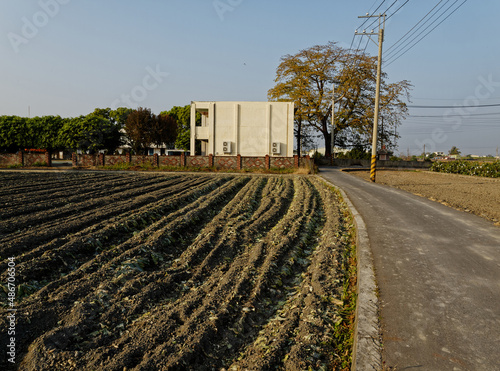 Vegetable Farm beside a house, asia