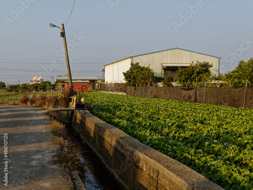 Vegetable Farm beside a house, asia
