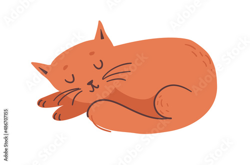 Fototapeta Naklejka Na Ścianę i Meble -  The ginger cat is sleeping. Vector illustration in a flat style.