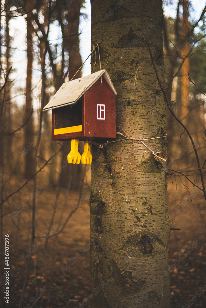 a birdhouse with chicken legs that hangs on a tree in the forest a birdhouse with chicken legs that hangs on a tree in the forest