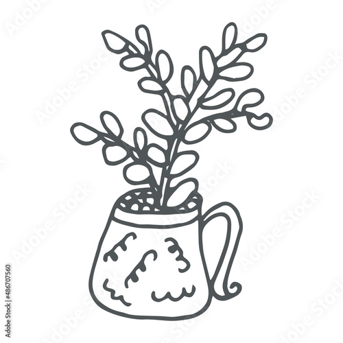 Hand drawn  succulent outline icon in doodle style. Vector liner illustration for print  web  mobile and infographics isolated on white background.  