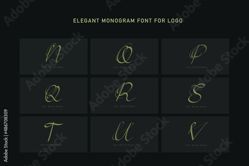 Elegant monogram font set for logo. Minimalist elegant font set monogram for logo.