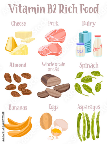 Set of products containing a great amount of Vitamin B2. Riboflavin rich food.