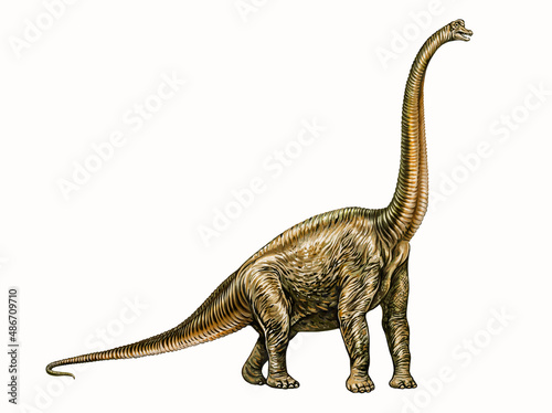 Diplodocus dinosaur © Liliya