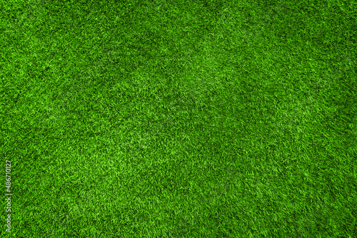 Textured high quality background of freshly cut green lawn