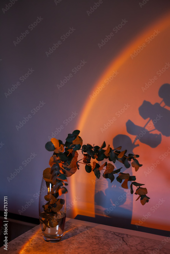 Branch of eucalyptus in a glass vase illuminated by a lamp imitating a sunset