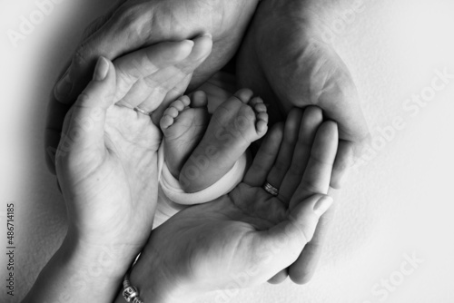 The palms of the father, the mother are holding the foot of the newborn baby in a blanket. Feet of the newborn on the palms of the parents. Studio macro photo of a child's toes and feet. Black white.