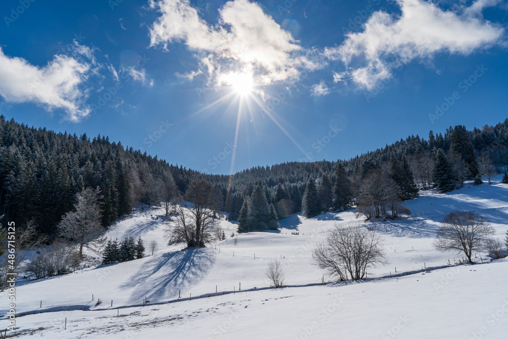 Fototapeta premium Im Schwarzwald beim Schluchsee Winter Ski 