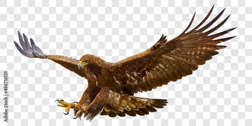 Golden eagle attack landing swoop hand draw and paint color on grey checkered background vector photo