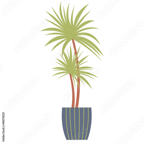 Dracaena houseplant isolated on white background. A potted plant that grows on the floor. Interior decoration of the house, office. Element of home decor. Vector illustration in flat style.