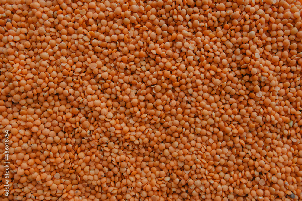 orange lentils like background and texture