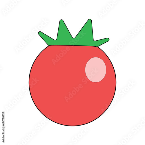 a single juicy tomato illustration made in adobe