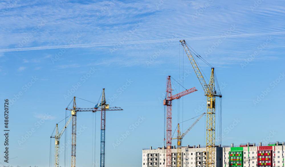cranes on a blue sky background cranes on a blue sky background