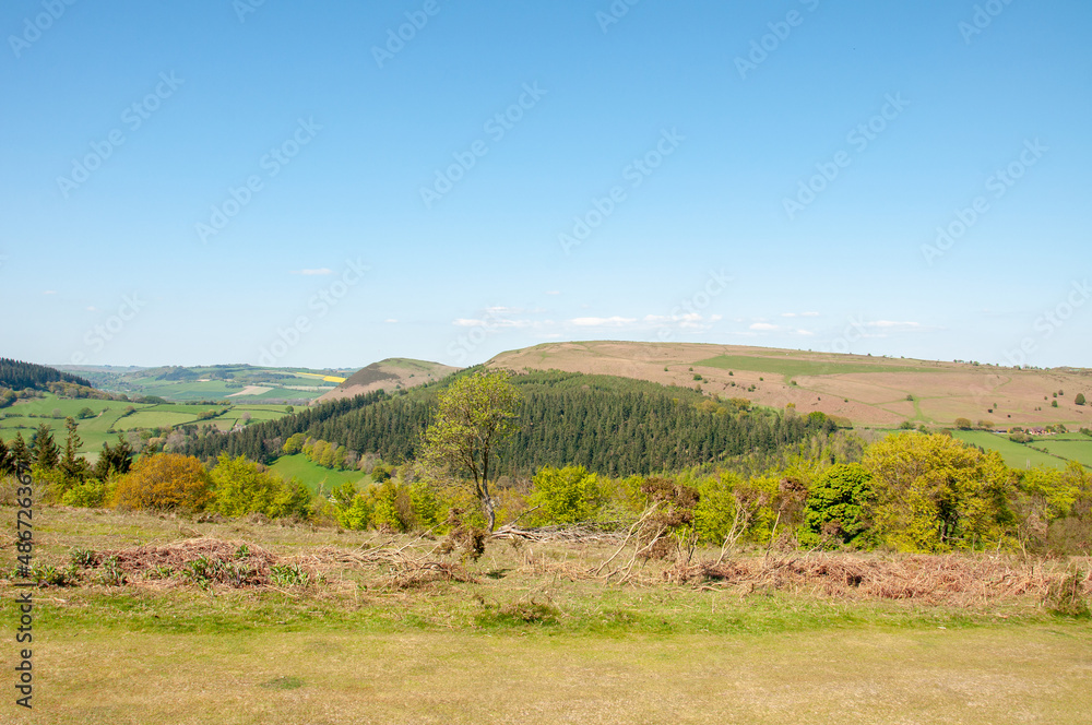 Obraz premium Hergest ridge in the summertime.