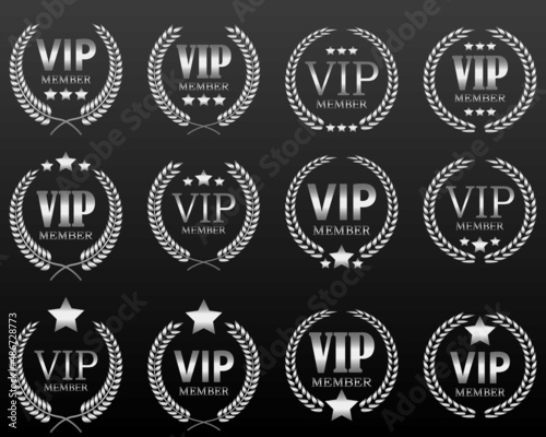 various luxury silver VIP label by vector design