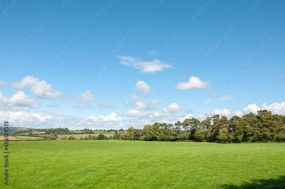 Hergest ridge in the summertime.
