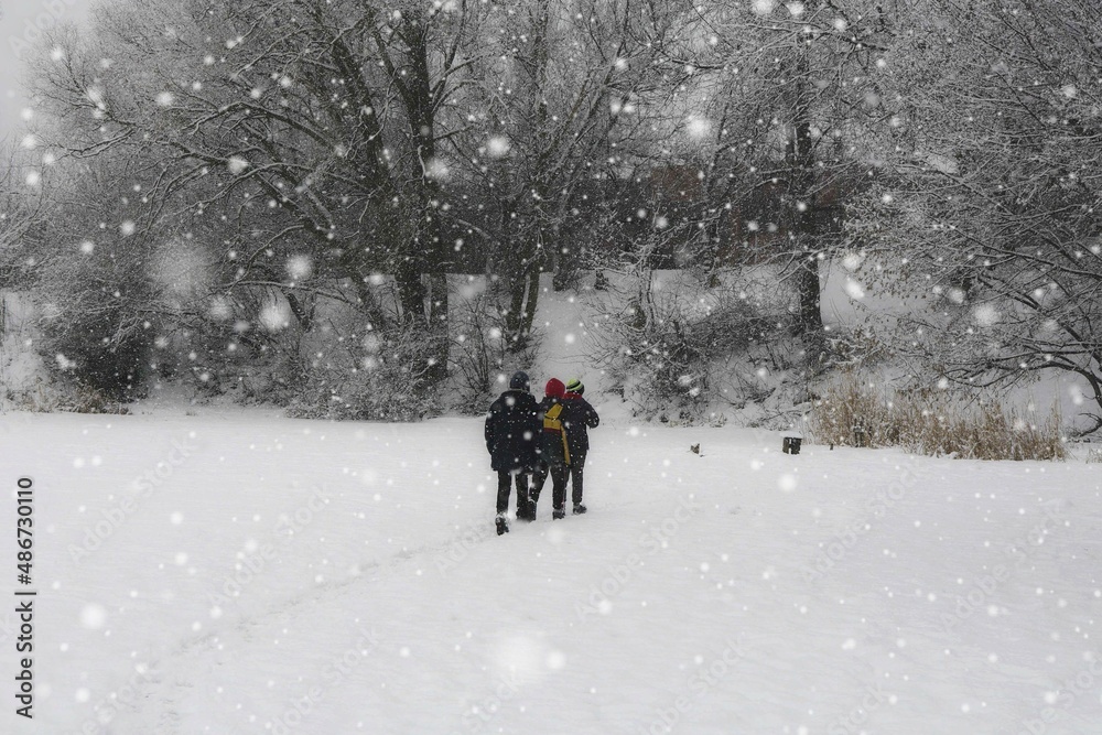 Walk during a snowfall in the city park across the lake. Children on vacation. Selective focus.