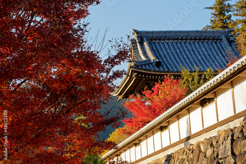 八百津のお寺の鐘つき堂と紅葉