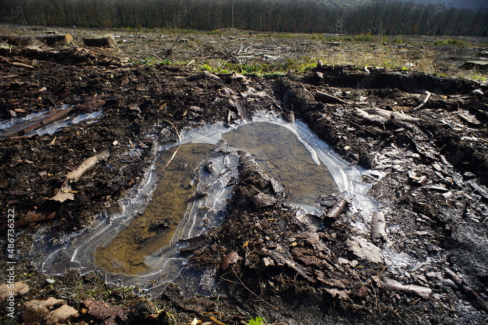Pfütze auf einem Weg, Radspuren im Wald mit Wasser und zerbrochenem und intaktem Eis Pfütze auf einem Weg, Radspuren im Wald mit Wasser und zerbrochenem und intaktem Eis