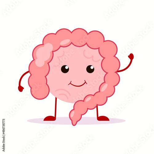 Strong healthy happy Intestine gut character. Vector flat cartoon illustration icon design. Isolated on white background