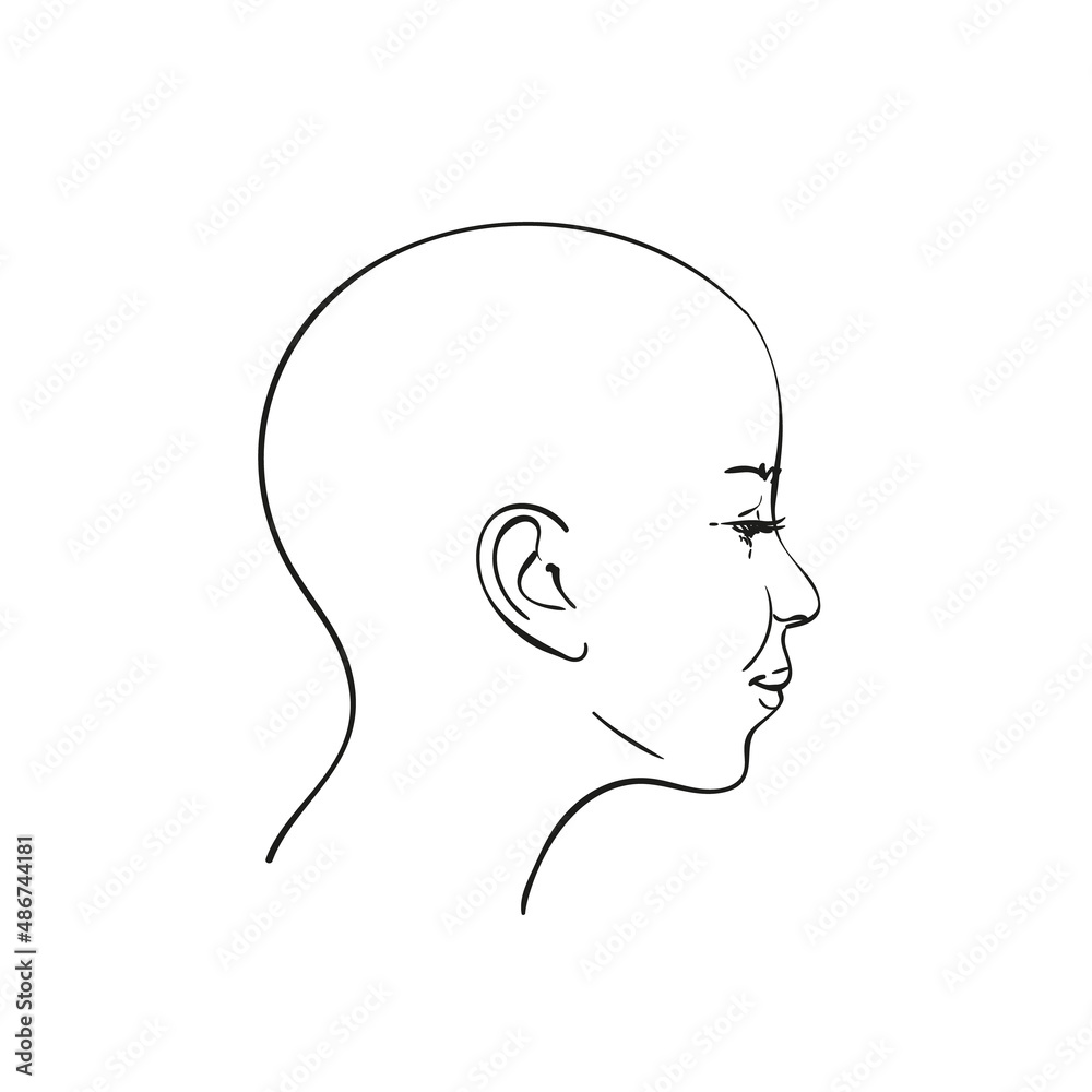 Portrait of bald headed girl in profile, Hand drawn line art illustration, Vector sketch isolated on white background Portrait of bald headed girl in profile, Hand drawn line art illustration, Vector sketch isolated on white background