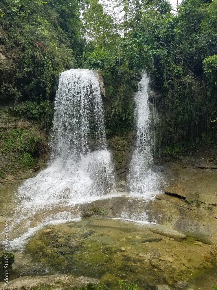 Obraz premium waterfall in the forest