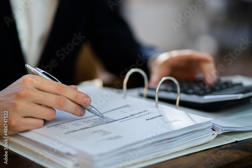 Tax Accountant Ledger Public Record