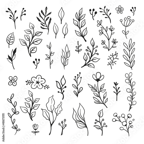 Vector branches and leaves. Hand drawn floral elements. Vintage botanical illustrations. Doodle nature ornaments.