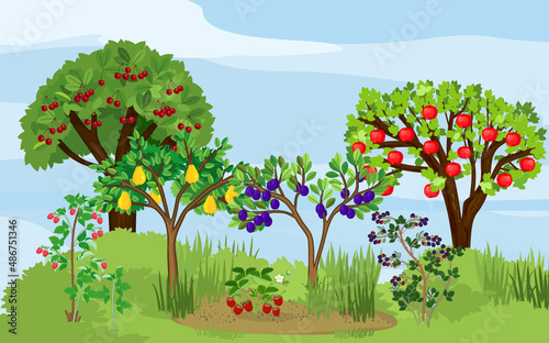 Landscape with different fruit trees and berry shrubs with ripe fruits on the branches. Harvest time