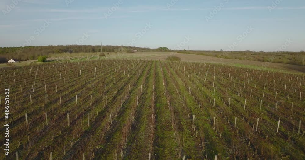 Aerial shot of the vine plantations of Monmousseau during winter in Montrichard, Touraine, next to the Loire Valley, France. Aerial shot of the vine plantations of Monmousseau during winter in Montrichard, Touraine, next to the Loire Valley, France.