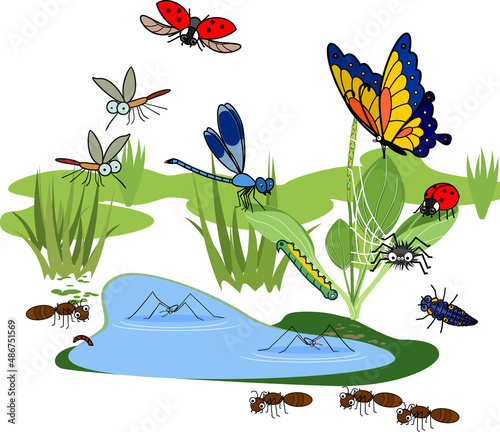 Cartoon pond with many species of insects living near the water isolated on white background