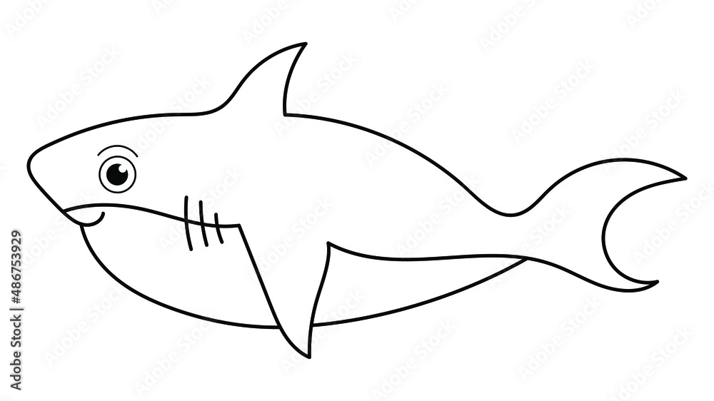 shark line vector illustration, isolated on white background.animals top view shark line vector illustration, isolated on white background.animals top view