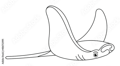 Vector hand drawn doodle sketch skate fish devil fish isolated on white background